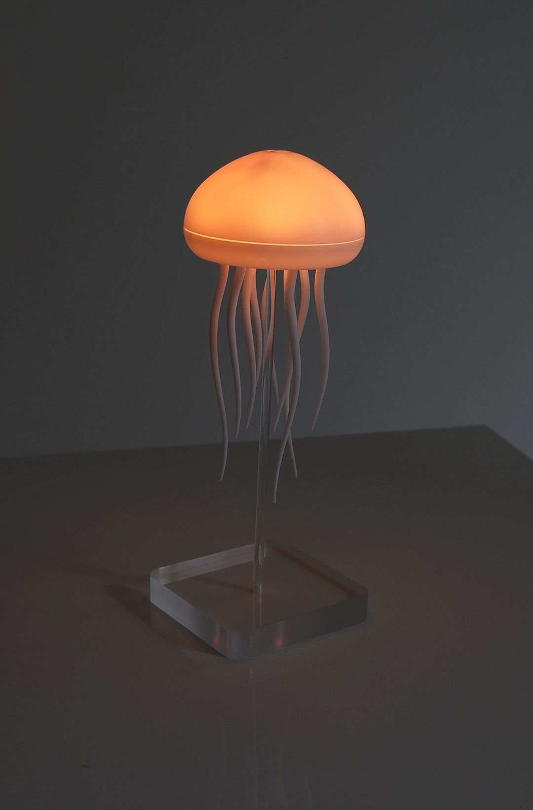Jelly Fish Lamp