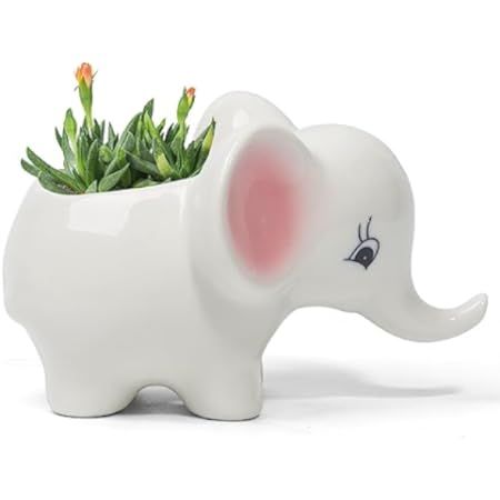 Small White Elephant Indoor Planter Plant Pot